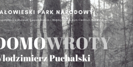Plakat do wystawy. W tle fragment fotografii lasu wykonanej przez Włodzimierza Puchalskiego. 