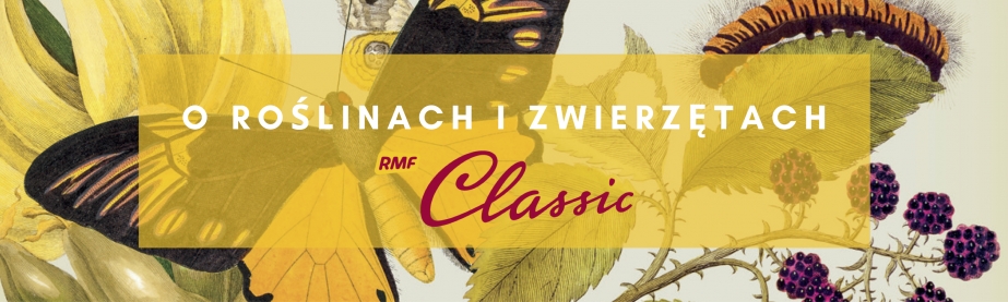 Banner About the plants and animals on RMF Classic