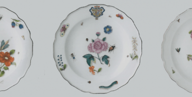  Porcelain as an atlas of natural history