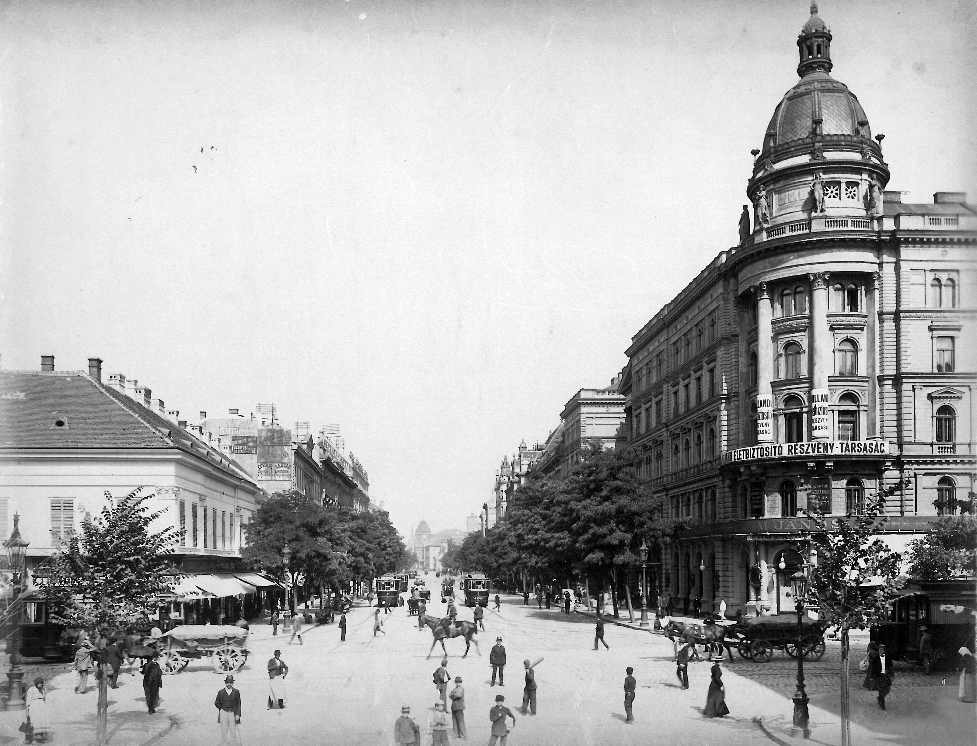 Aleja Rakoczego, widziana z dzisiejszego skrzyżowania przy hotelu „Astoria”, 1903 rok.
