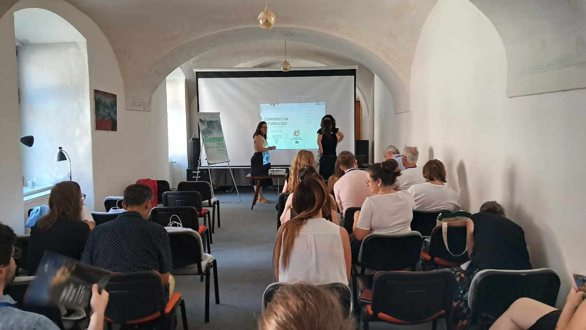 Sala wykładowa z łukowym białym sklepieniem, w której zgromadzone są osoby uczestniczące w V4 Heritage Academy, z przodu ekran z prezentacją.